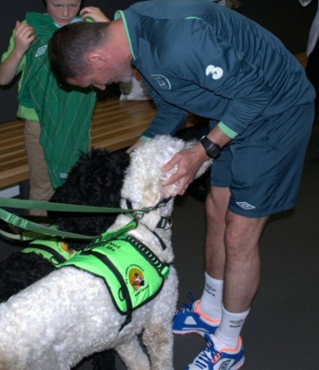 roy keane autism dogs