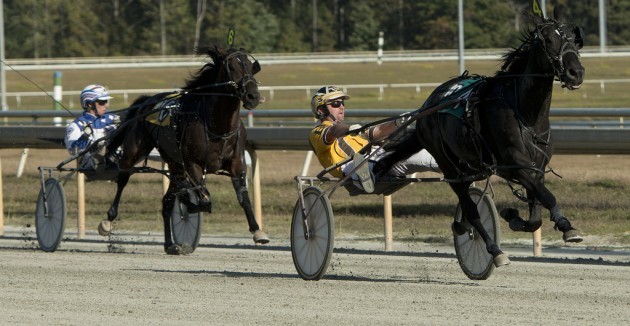 Harness Racing at Colonial Downs