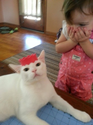 My daughter was pretty excited to make the cat a princess. - Imgur