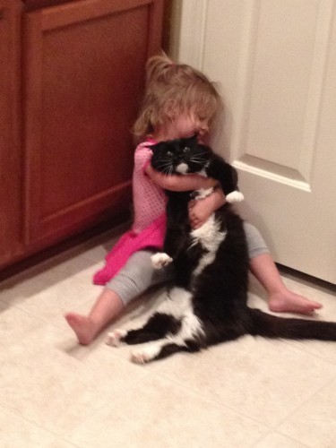 Just my girlfriend's daughter showing the cat some love. - Imgur