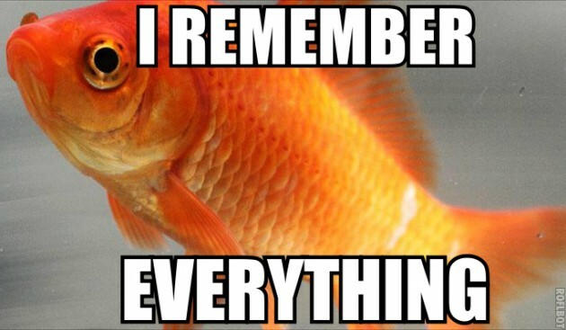 Common_goldfish