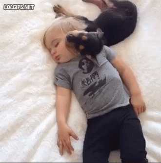 puppy-sleeping-on-baby