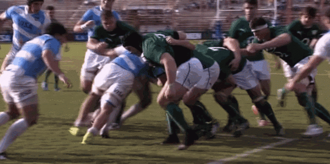 33.44 POC Ross Resists