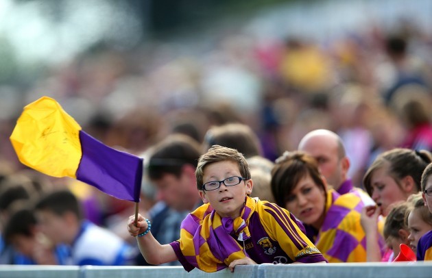A young Wexford supporter in the crowd
