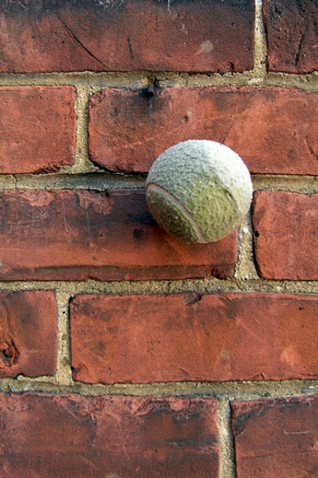 Still Life with Tennis Ball on a Red Brick Wall