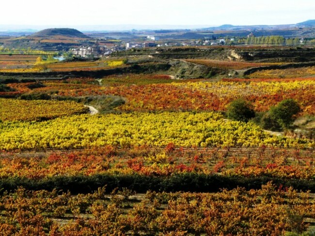 Color Rioja