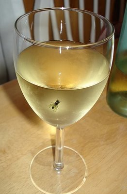 fly-in-wine