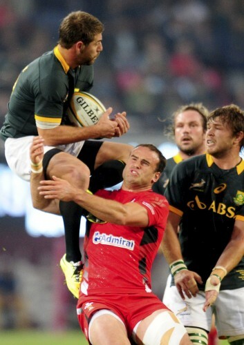 South Africa Rugby Wales