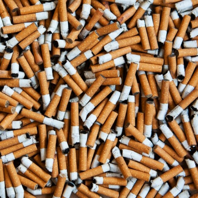 shutterstock_109325936