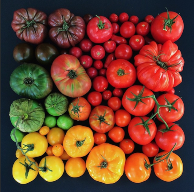 emily-blincoe-is-a-photographer-from-austin-with-an-amazing-eye-for-color-she-snaps-photos-of-a-lot-of-different-things-but-her-food-photos-are-some-of-her-most-visually-stunning-work