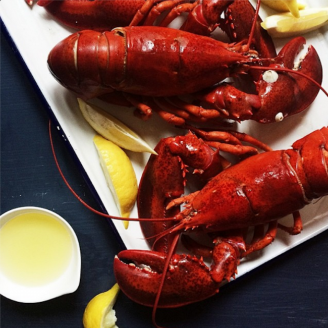nicole-franzen-is-a-food-and-lifestyle-photographer-who-has-done-work-for-major-publications-like-food-and-wine-martha-stewart-living-and-conde-nast-traveler-shes-based-in-brooklyn-but-frequently-posts-photos