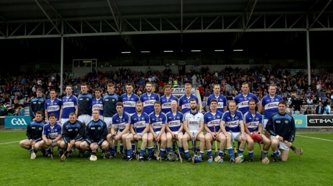 Laois panel