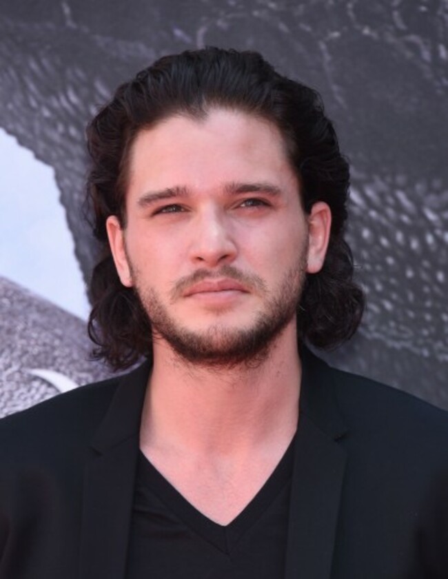 How To Train Your Dragon 2 Premiere - Los Angeles