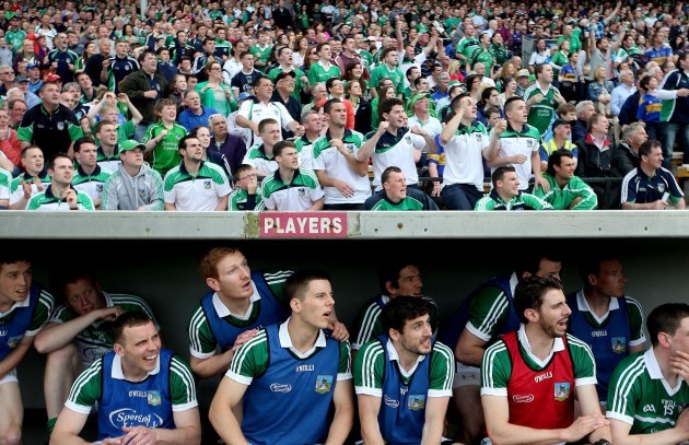 Limerick players and fans look on late in the game