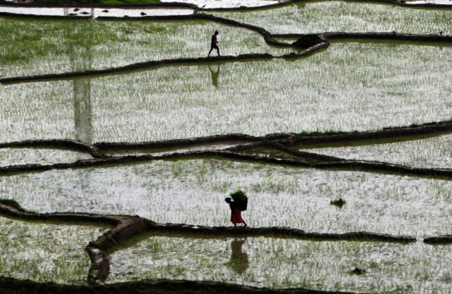 Nepal Agriculture