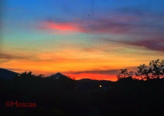 Watermarked Photo