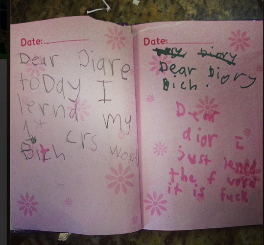 9 extremely insightful diary entries from primary school kids