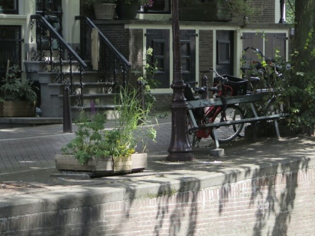 Netherlands Missing Bench