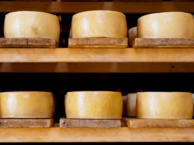 sample-paki-sir-the-famous-artisanal-sheep-milk-cheese-made-on-the-croatian-island-of-pag