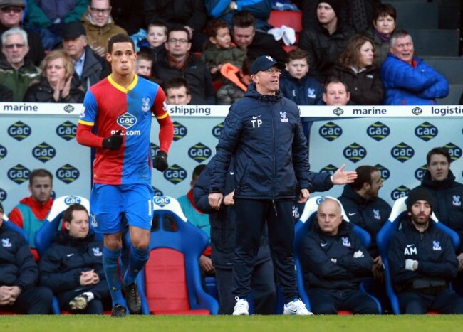 Soccer - Barclays Premier League - Crystal Palace v West Bromwich Albion - Selhurst Park