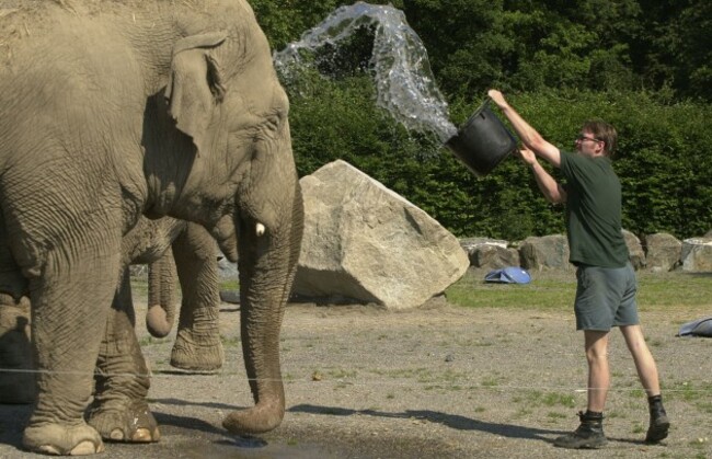 Elephant keeper Ken Mackey & Judy the Indian Elephant