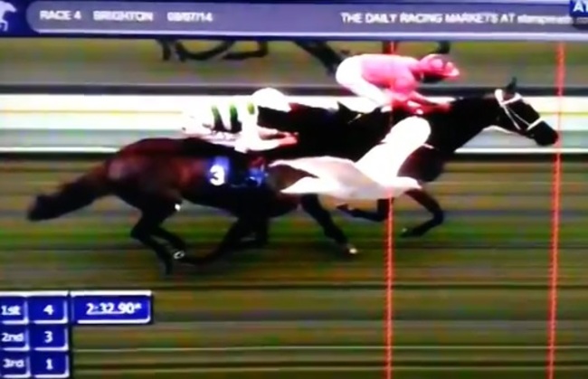 Seagull photo finish