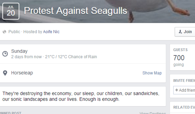 seagullsfb