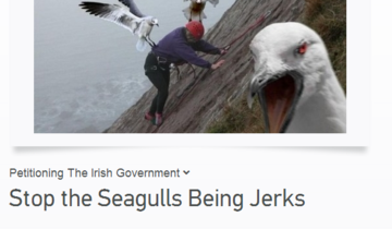 signseagull