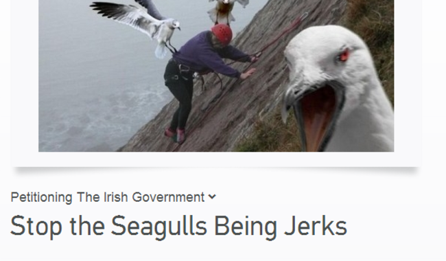 signseagull