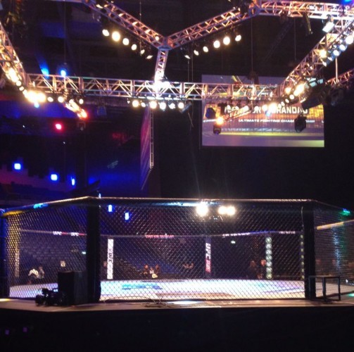 UFC cage