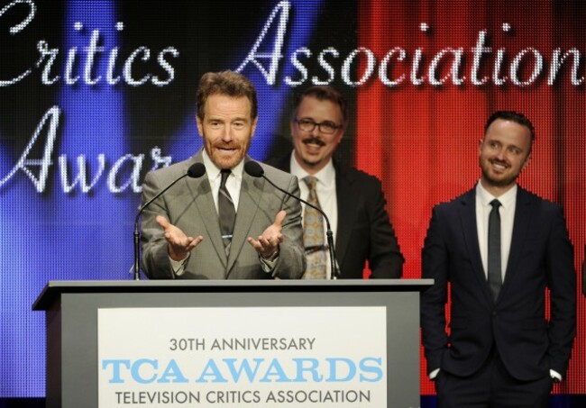 2014 Summer TCA Awards