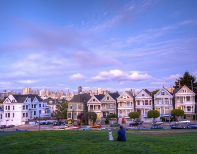 A man, his dog and seven painted ladies in San Francisco