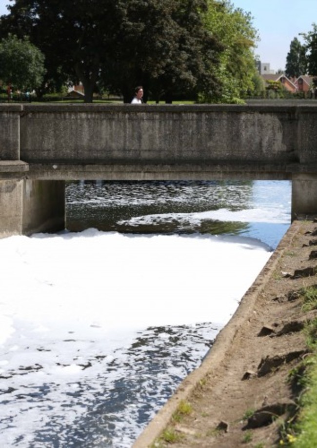 Tolka River pollution