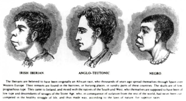 Scientific_racism_irish - image for article