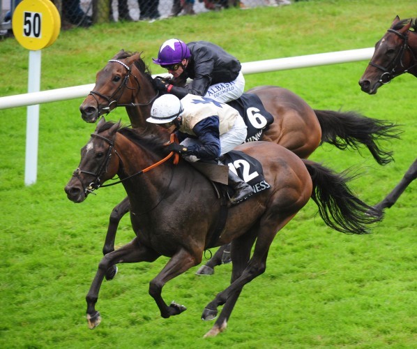 Horse Racing - 2014 Summer Festival - Day Five - Galway Racecourse