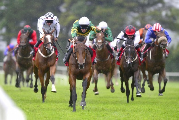 Horse Racing - 2014 Summer Festival - Day Five - Galway Racecourse