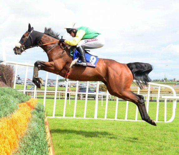 Horse Racing - 2014 Summer Festival - Day Seven - Galway Racecourse
