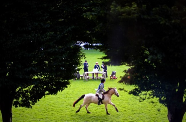 General view from today's Dublin Horse Show 6/8/2014