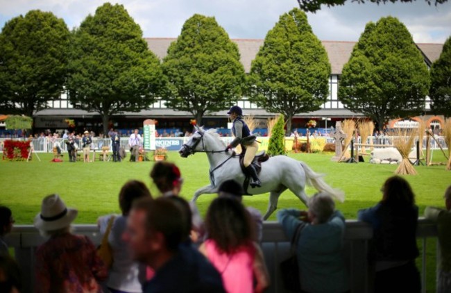 General view from today's Dublin Horse Show 6/8/2014