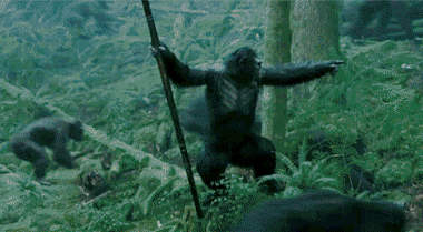 dawn-planet-of-the-apes-2