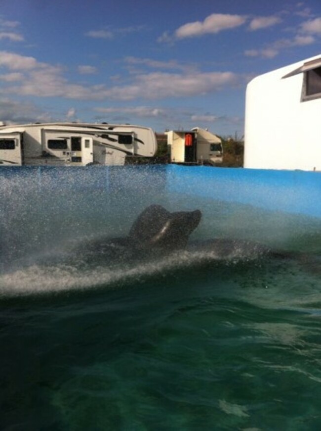 2cc05e2594f49ac5e12c8736b6a1715d