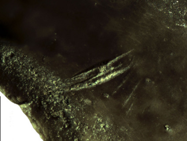 burn marks