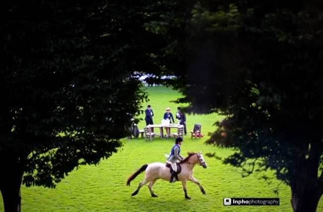 General view from today's Dublin Horse Show 6/8/2014