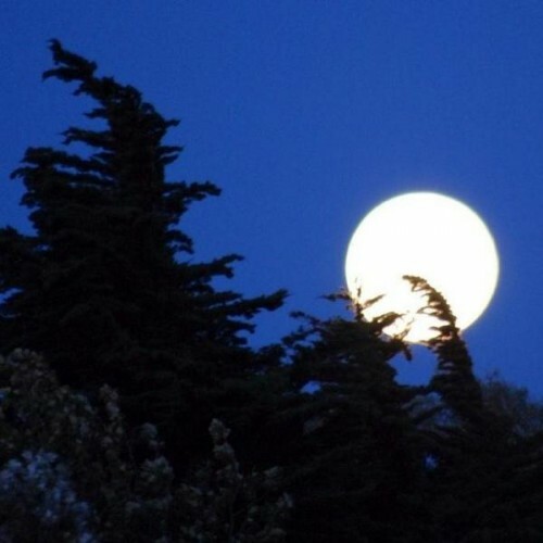 PICS The 'super moon' over Ireland · TheJournal.ie