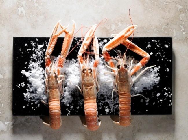 x prawns (1024x768)