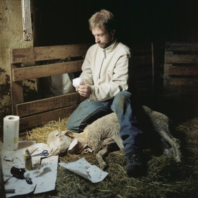 this-man-raises-goats-and-sheep-with-his-wife-in-the-province-of-ardche-in-southern-central-france-here-he-treats-a-sheep-that-got-beaten-by-his-dog