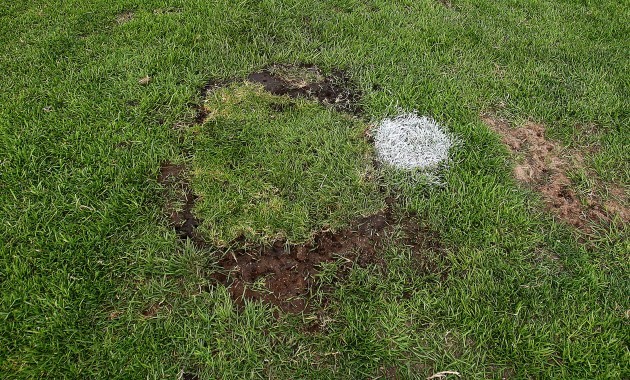 A general view of the damage to the pitch which resulted in the game being called off