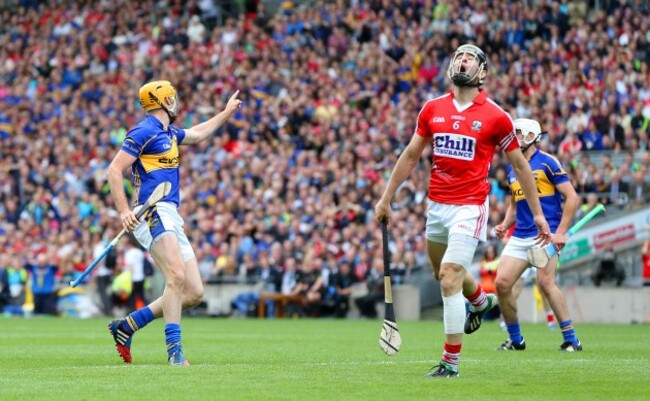 Seamus Callanan celebrates scoring