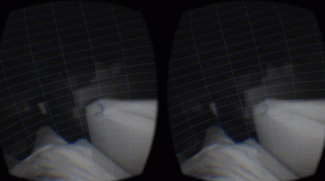 Leap Motion GIF