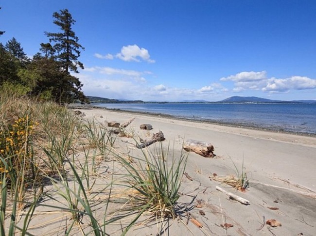 though-its-not-a-far-trip-from-victoria-vancouver-or-seattle-the-beach-has-a-very-secluded-feel-to-it